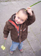 Er groeit een bloem uit mijn hoofd